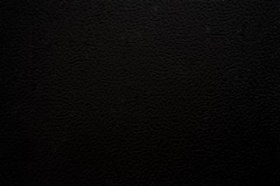 Vinylsport - Image 13